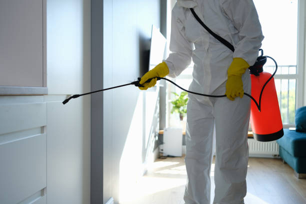 Best Home Mold Removal  in Marion, SC
