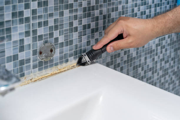 Mold Removal Process in Marion, SC